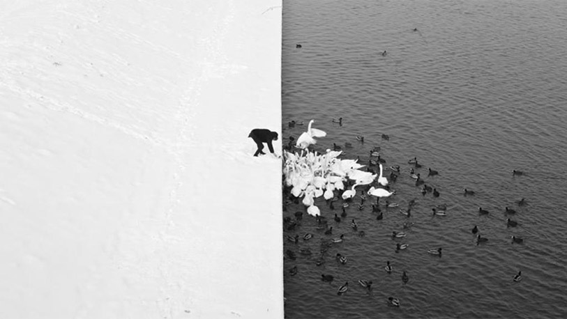 Ein Man füttert Enten am See im Winter